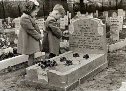 La tumba de Simón en el cementerio de la PDSA, en Ilford, el animal no pudo recibir su condecoración, pues murió cuatro días antes del evento