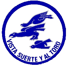 Emblema de la 1Âª escuadrilla