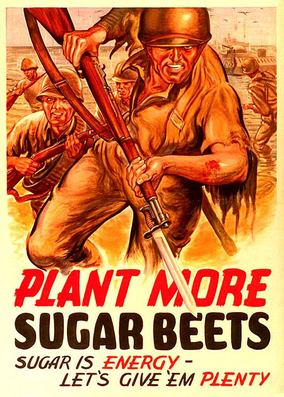 Plant More Sugar Beets
