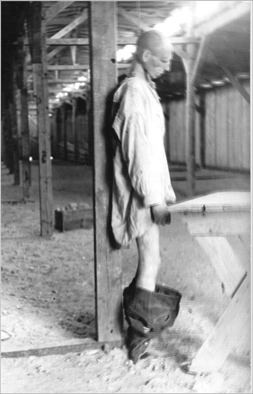Preso de Mauthausen ahorcado en las letrinas