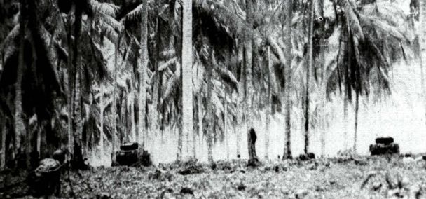 Tanques M3A1 del 1st Light Tank Battalion avanzando por una plantación de cocoteros en Arawe, Nueva Bretaña
