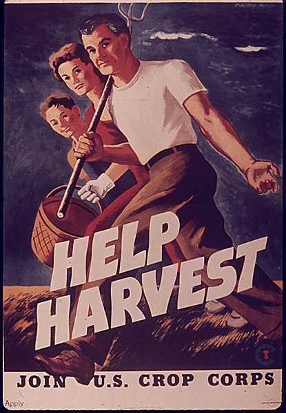 Help Harvest