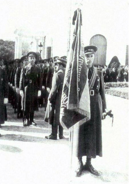 Un Brigada de Carabineros en servicio de Guardia Presidencial, forma lustrosa y orgullosa para ser revistada por la autoridad de la República