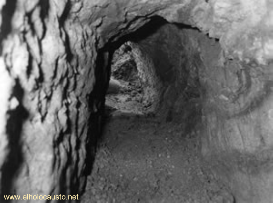 Detalle del Túnel
