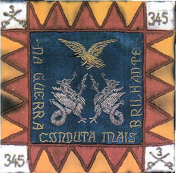 A BCAV 0345 livro a