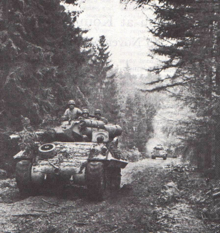 M10 Wolverine del 803º Batallón de Destructores de Tanques al Suroeste de Düren