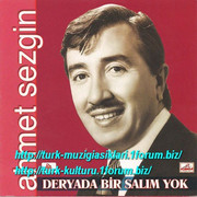 Ahmet_Sezgin_-_Deryada_Bir_Salim_Yok