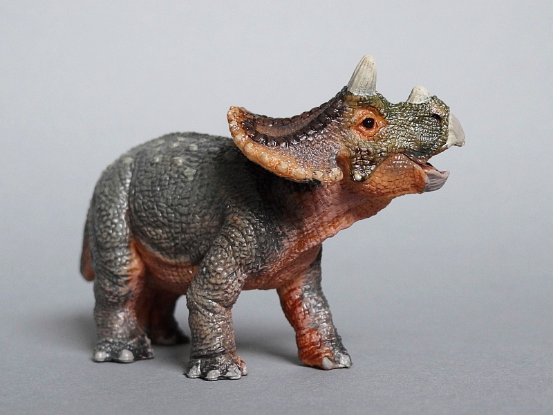 papo baby triceratops