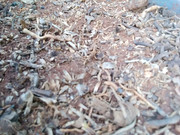 Xiaomi Redmi Note 4 SD - Hasil Kamera Depan (3)