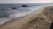 California suite (1978) .avi DVDRip AC3 ITA ENG SUB ITA