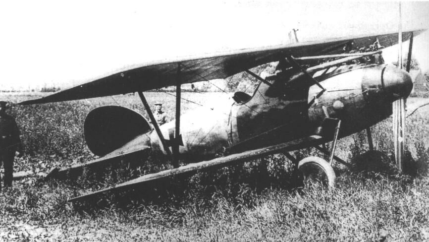 El Albatros D.V perteneciente a Manfred von Richthofen el Barón Rojo