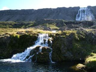 Islandia - Blogs de Islandia - Fiordos occidentales (16)