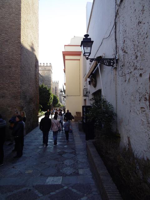Dos días y medio en Sevilla con niños - Blogs de España - Real Alcázar, Catedral, Santa Cruz (10)