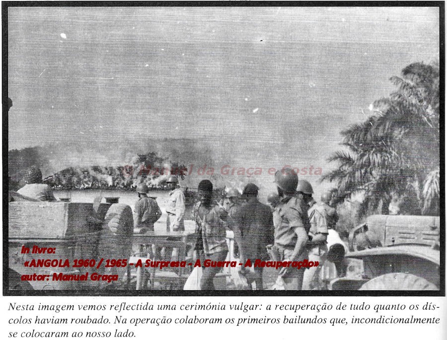 31_mato