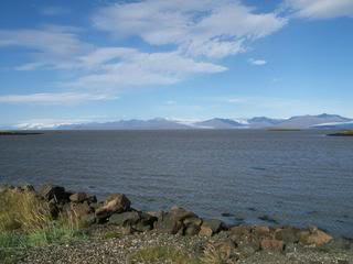 Islandia - Blogs de Islandia - Fiordos del Este (de Höfn a Egilsstaðir) (1)