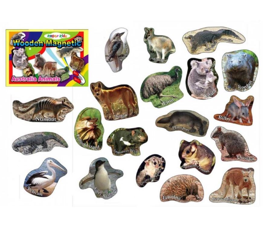 20 Wooden Australian Animal Photo Magnets In Box Koala Kangaroo 20 Wooden Australian Animal Photo Magnets In Box Koala Kangaroo Educational