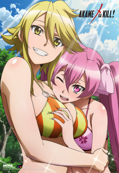 Akame ga Kill! (2014) PL.HDTV.720p.x264 / Napisy PL Akame ga Kill! (2014) PL.HDTV.720p.x264 / Napisy PL