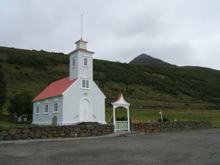 Islandia - Blogs de Islandia - Ballenas y carretera hacia los fiordos del oeste (8)