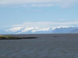 Islandia - Blogs de Islandia - Fiordos del Este (de Höfn a Egilsstaðir) (2)