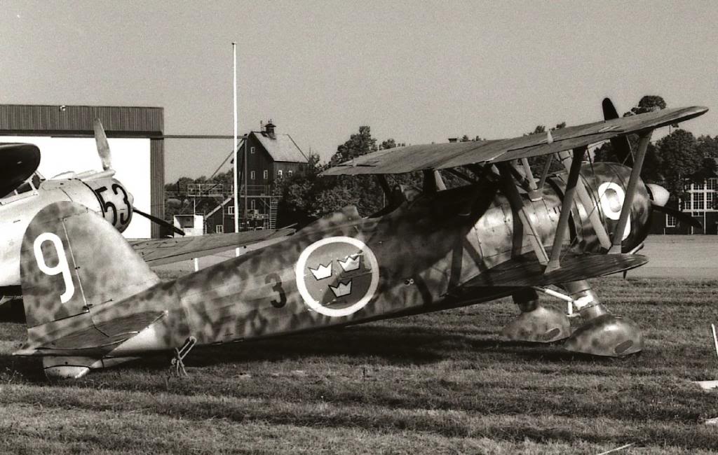 Un Fiat C.R.42 Falco de la fuerza aérea sueca