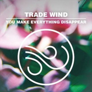 Trade Wind - You Make Everything Disappear (2016).mp3 - 320 Kbps