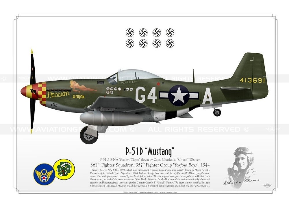 Ficha del P-51D Mustang