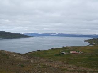 Islandia - Blogs de Islandia - Fiordos occidentales (2)