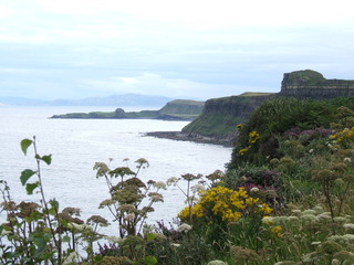 Recorriendo Escocia - Blogs de Reino Unido - Isla de Skye (39)