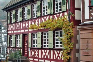 Bodensee, Schaffhausen y Schiltach - Otoño en el sur de Alemania (Bavaria, Ruta Romántica y Selva Negra) (31)