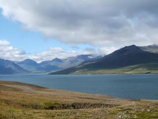 Islandia - Blogs de Islandia - Fiordos del Este (de Höfn a Egilsstaðir) (14)