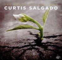 Curtis Salgado - The Beautiful Lowdown (2016).mp3 - 128 Kbps