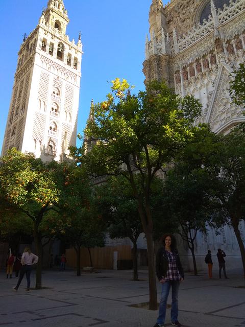 Dos días y medio en Sevilla con niños - Blogs of Spain - Real Alcázar, Catedral, Santa Cruz (4)