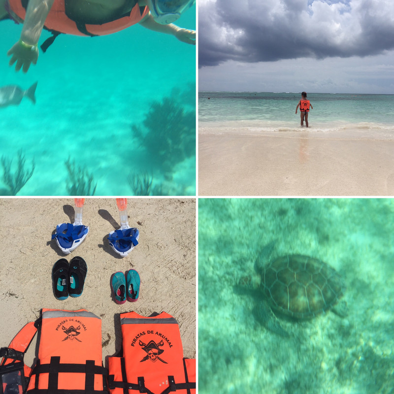 Nuestro sueño maya - Blogs de Mexico - Día 5: Buceo con tortugas en Akumal (4)