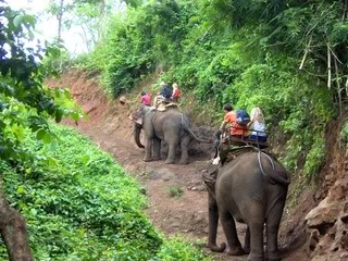 De excursión por la selva de Chiang Mai - Tailandia en 20 días (4)