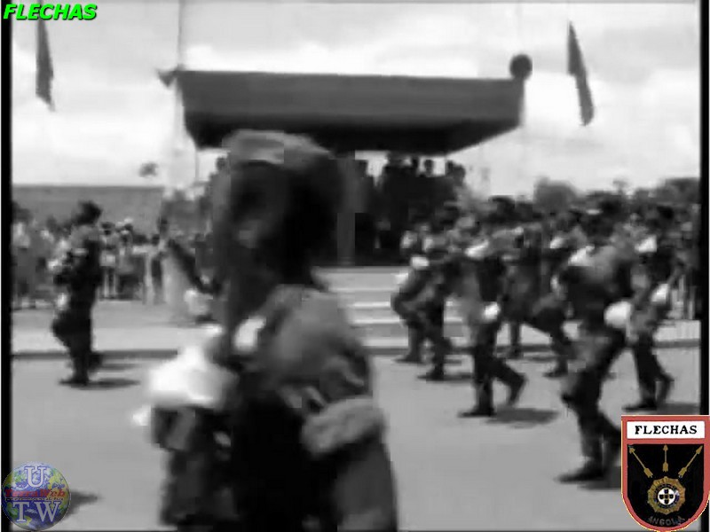 Tropa_Flechas 044