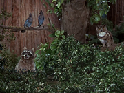 La gnomo-mobile (1967) .avi DVDRip AC3 ITA ENG