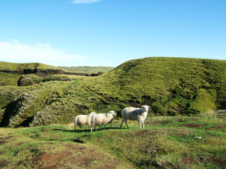 Islandia - Blogs de Islandia - Laki Craters - Lakagievar (3)