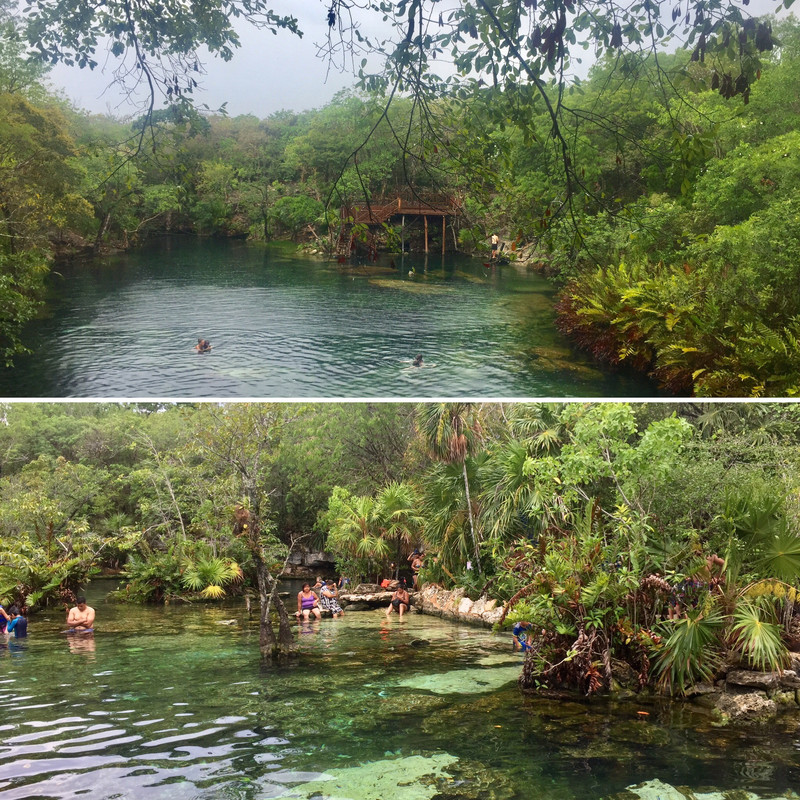 Nuestro sueño maya - Blogs de Mexico - Día 6: Cenotes entre tormentas tropicales (3)