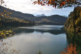 Neuschwanstein, Hohenschwangau y Füssen - Otoño en el sur de Alemania (Bavaria, Ruta Romántica y Selva Negra) (10)
