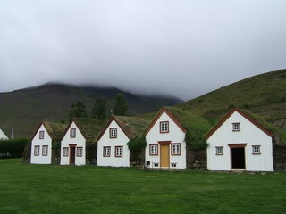 Islandia - Blogs de Islandia - Ballenas y carretera hacia los fiordos del oeste (6)