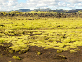 Islandia - Blogs de Islandia - Laki Craters - Lakagievar (9)