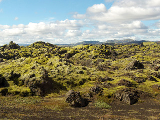 Islandia - Blogs de Islandia - Laki Craters - Lakagievar (10)