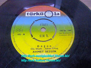 Ahmet_Sezgin_-_Ahu_Gozlum