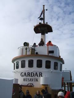 Islandia - Blogs de Islandia - Ballenas y carretera hacia los fiordos del oeste (1)