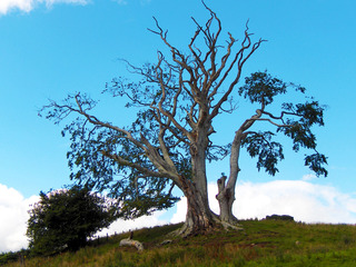 Ruta de los Castillos III - Recorriendo Escocia (22)