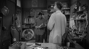 Il delinquente delicato (1957) .avi DVDRip AC3 ITA ENG SUB ITA