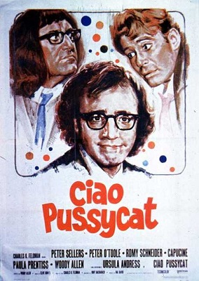 Ciao Pussycat (1965) .avi DVDRip AC3 ITA ENG