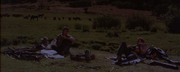 Arriva un cavaliere libero e selvaggio (1978) .avi DVDRip AC3 ITA ENG SUB ITA ENG