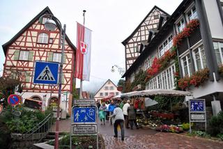Bodensee, Schaffhausen y Schiltach - Otoño en el sur de Alemania (Bavaria, Ruta Romántica y Selva Negra) (24)
