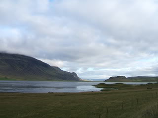 Islandia - Blogs de Islandia - Ballenas y carretera hacia los fiordos del oeste (12)